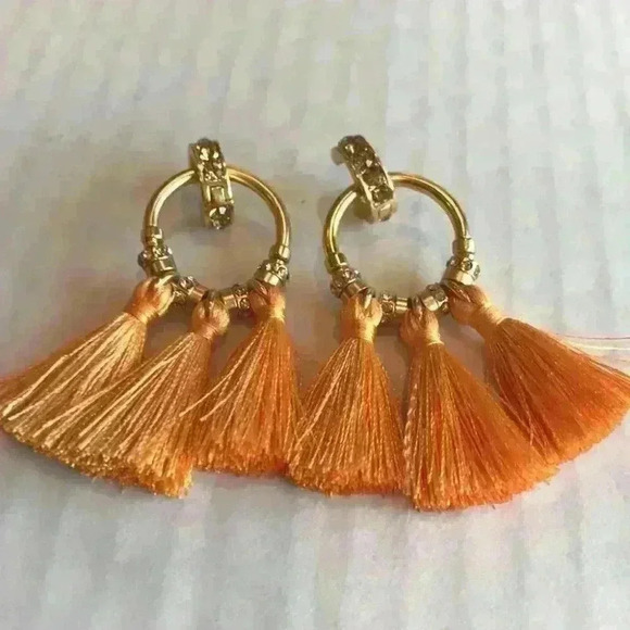 J Crew new Pave Rusted Tassel Earrings - Picture 3 of 8